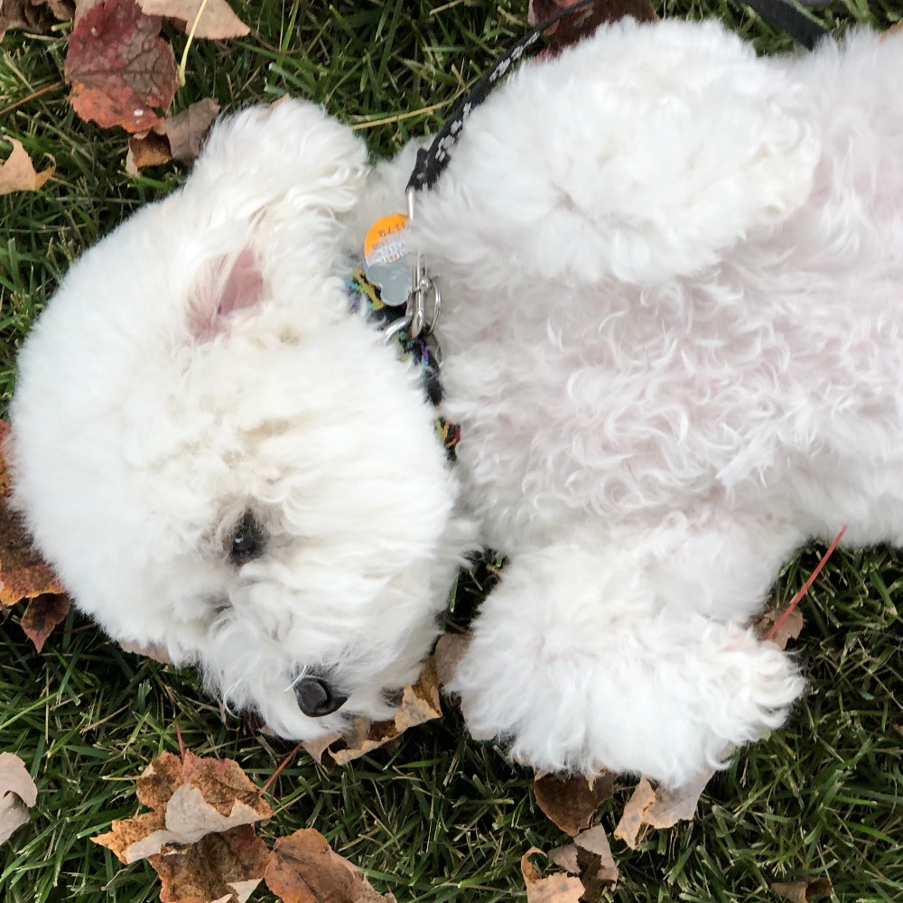 Meet your Posher, Katharine